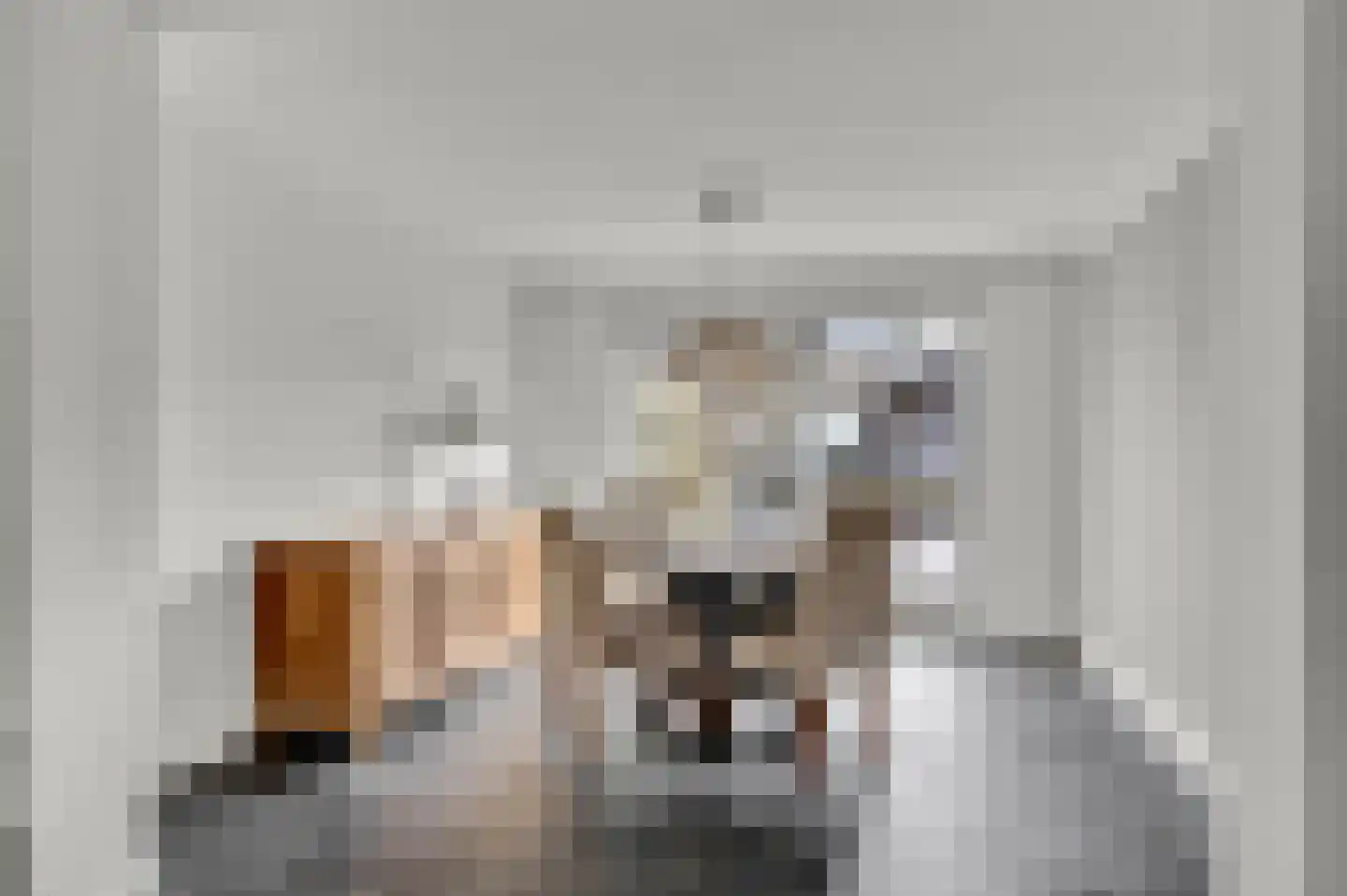 A. Rampionstrjitte 19 Bakhuizen thumbnail 12