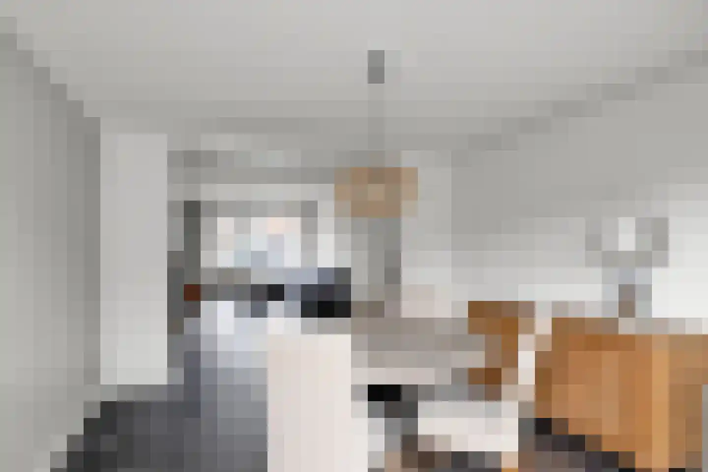 A. Rampionstrjitte 19 Bakhuizen thumbnail 13