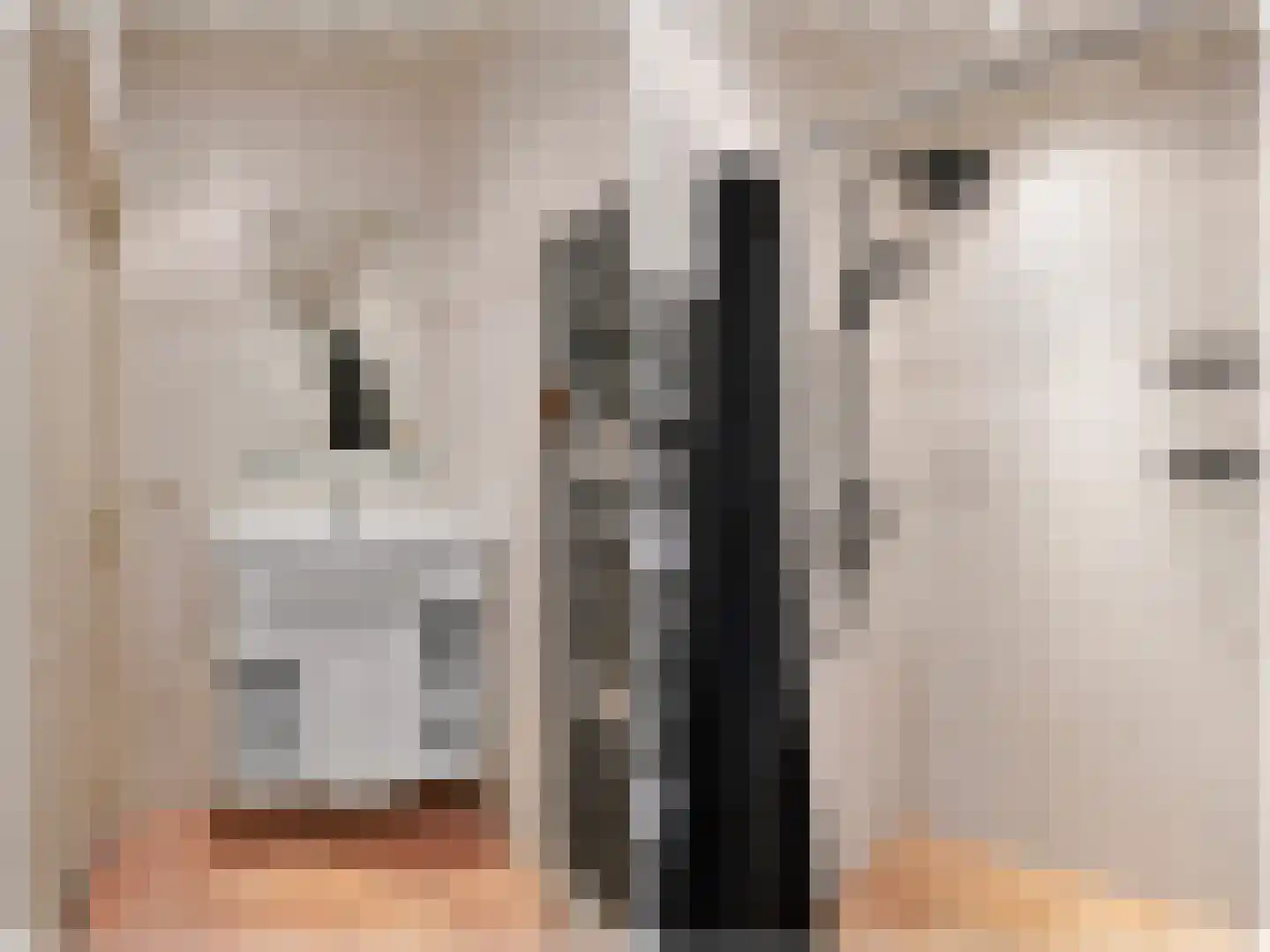 A. Rampionstrjitte 19 Bakhuizen thumbnail 19