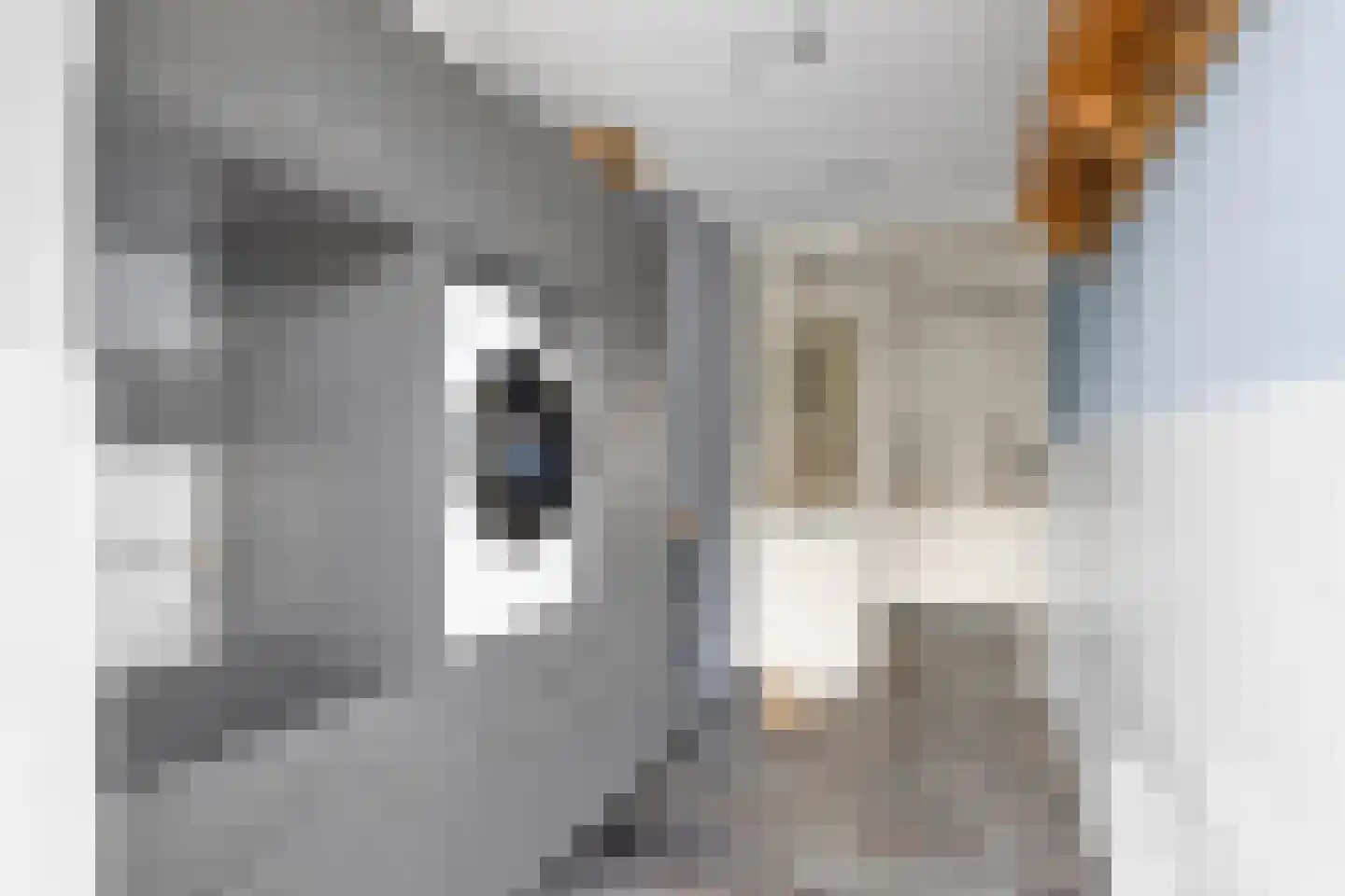 A. Rampionstrjitte 19 Bakhuizen thumbnail 21