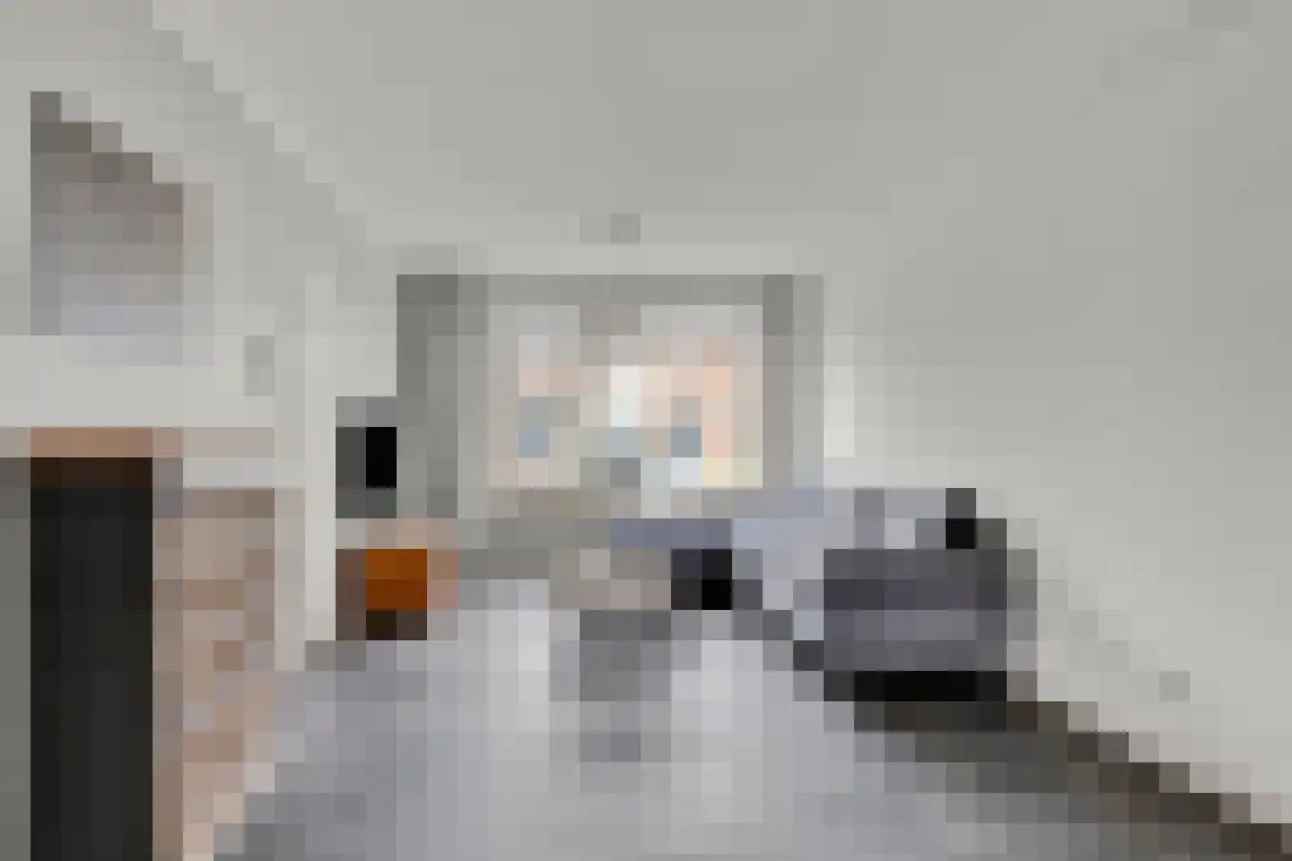 A. Rampionstrjitte 19 Bakhuizen thumbnail 8
