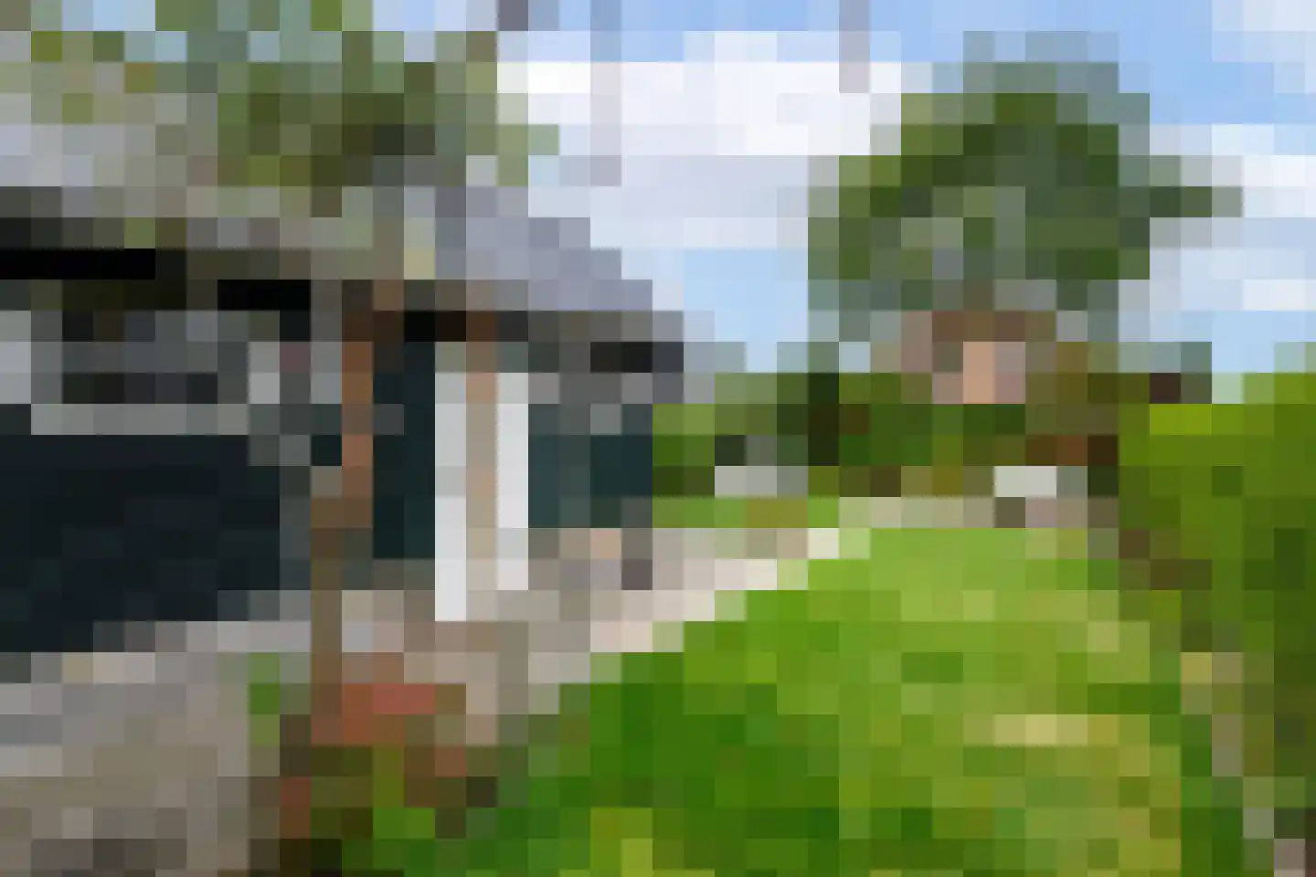 A. Rampionstrjitte 34 Bakhuizen thumbnail 22