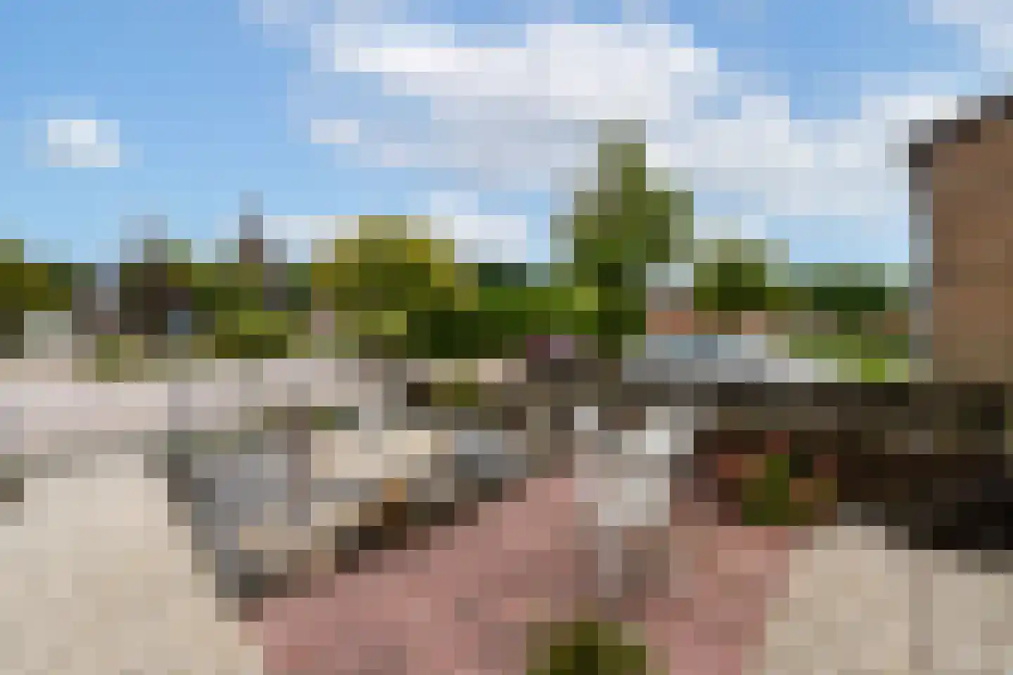 A. Rampionstrjitte 34 Bakhuizen thumbnail 24