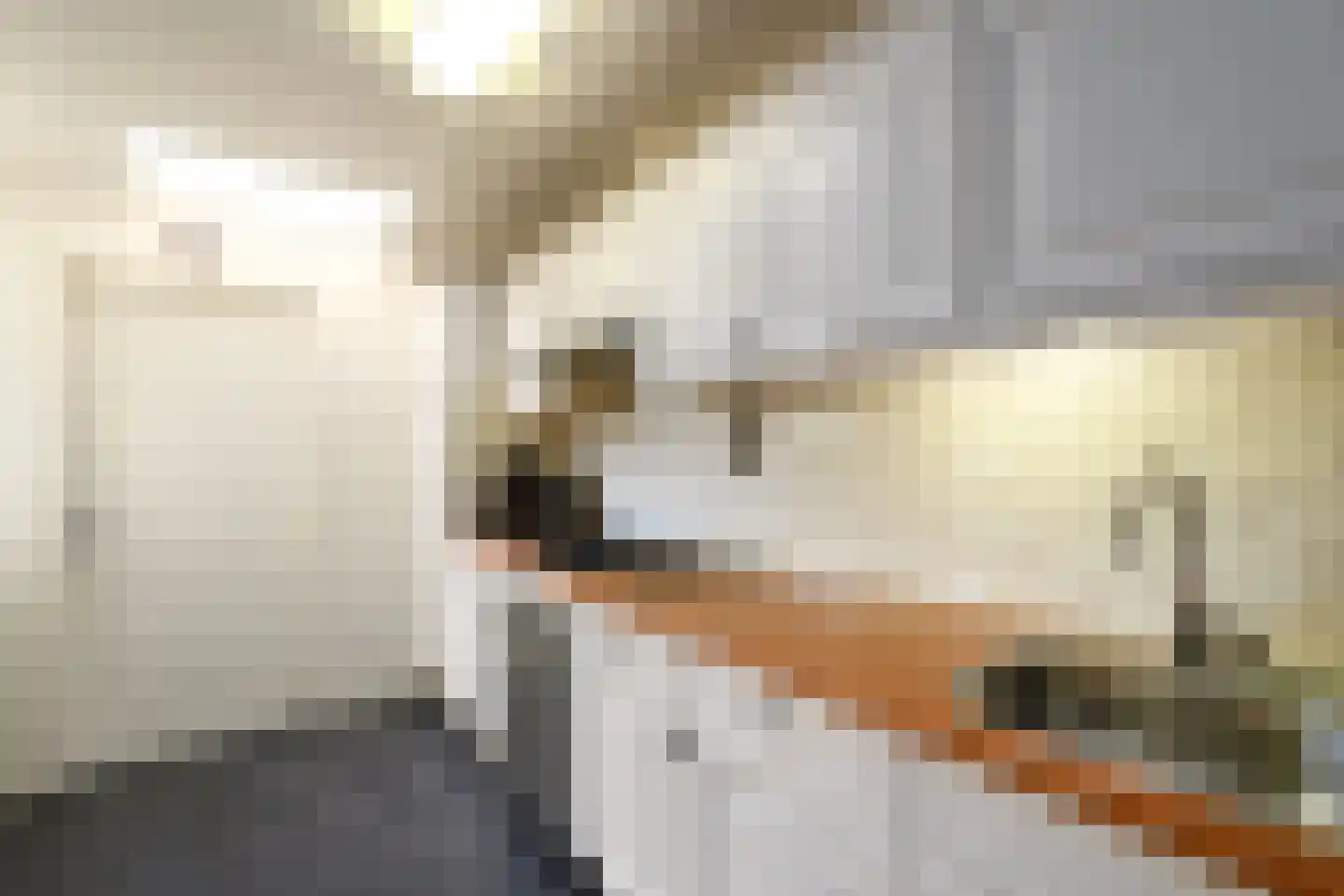 A. Rampionstrjitte 34 Bakhuizen thumbnail 4