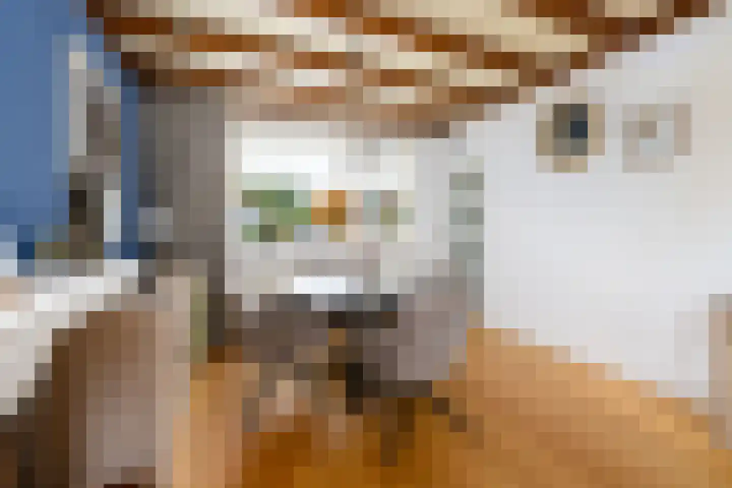 A. Rampionstrjitte 34 Bakhuizen thumbnail 6