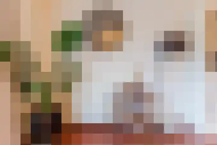 A. Reitsmakade 6 Amsterdam thumbnail 12