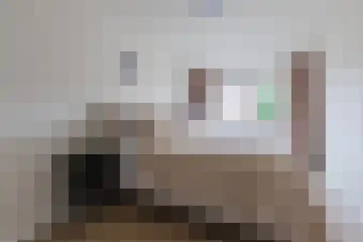 A. Reitsmakade 6 Amsterdam thumbnail 28