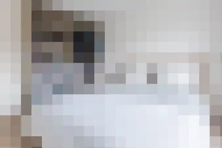 A. Reitsmakade 6 Amsterdam thumbnail 33