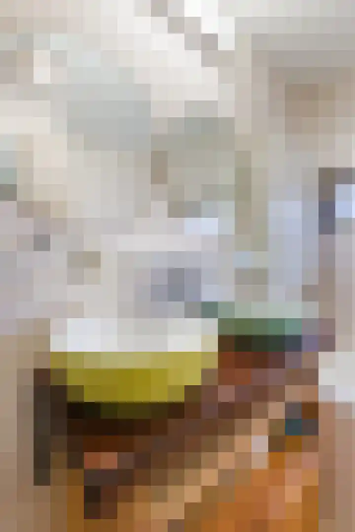 A. Reitsmakade 6 Amsterdam thumbnail 39