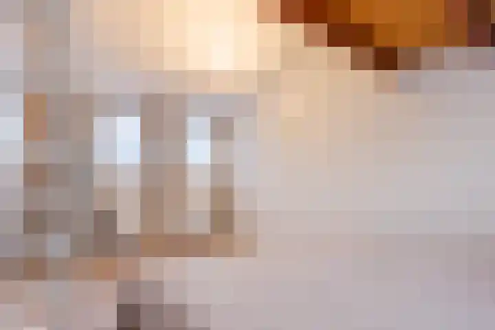 A. Reitsmakade 6 Amsterdam thumbnail 50