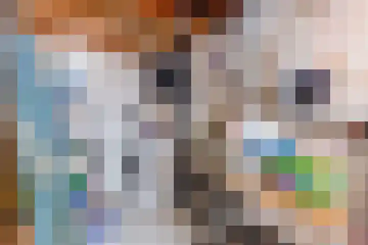 A. Reitsmakade 6 Amsterdam thumbnail 55