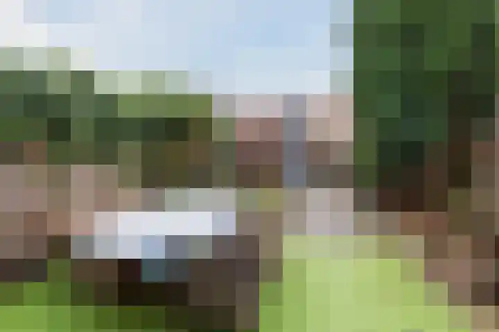 A. Reitsmakade 6 Amsterdam thumbnail 56