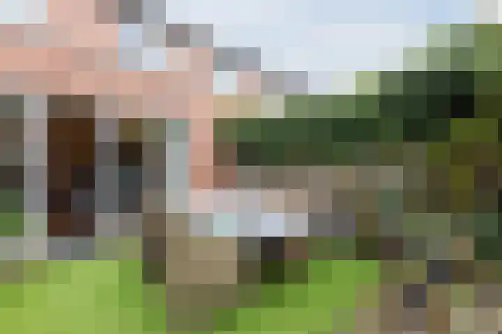 A. Reitsmakade 6 Amsterdam thumbnail 58