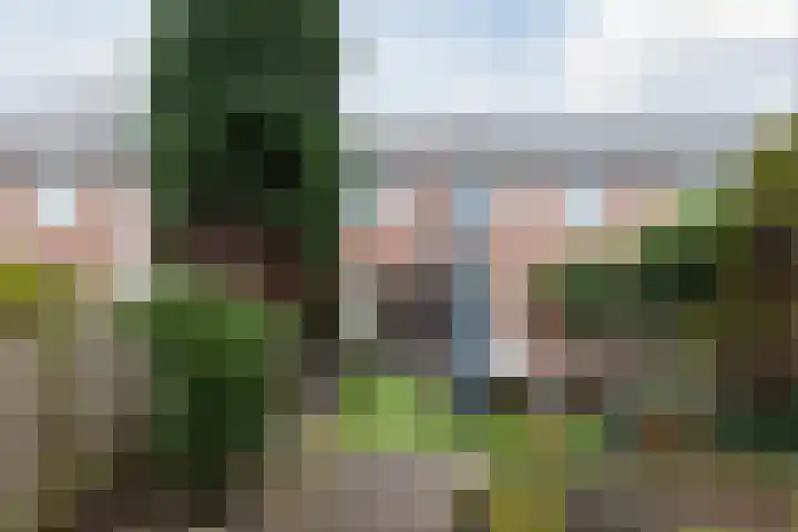 A. Reitsmakade 6 Amsterdam thumbnail 62