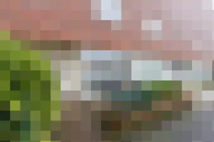 A. Reitsmakade 6 Amsterdam thumbnail 7
