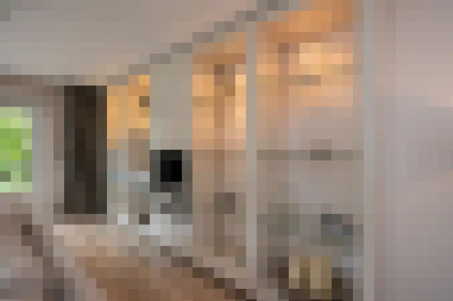 A. Roland Holststraat 13 Almere thumbnail 16