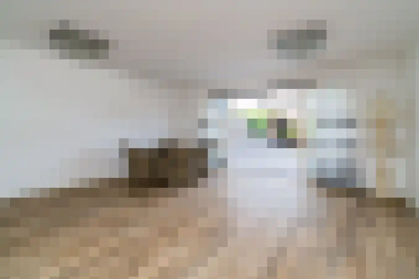 A. Roland Holststraat 22 Almere thumbnail 4