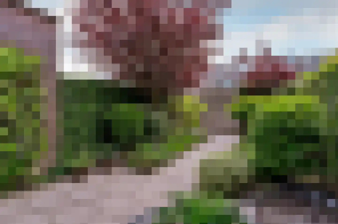 A. Roland Holststraat 32 Almere thumbnail 16