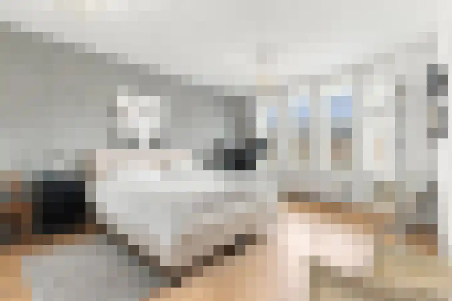 A. Roland Holststraat 5 Voorschoten thumbnail 18