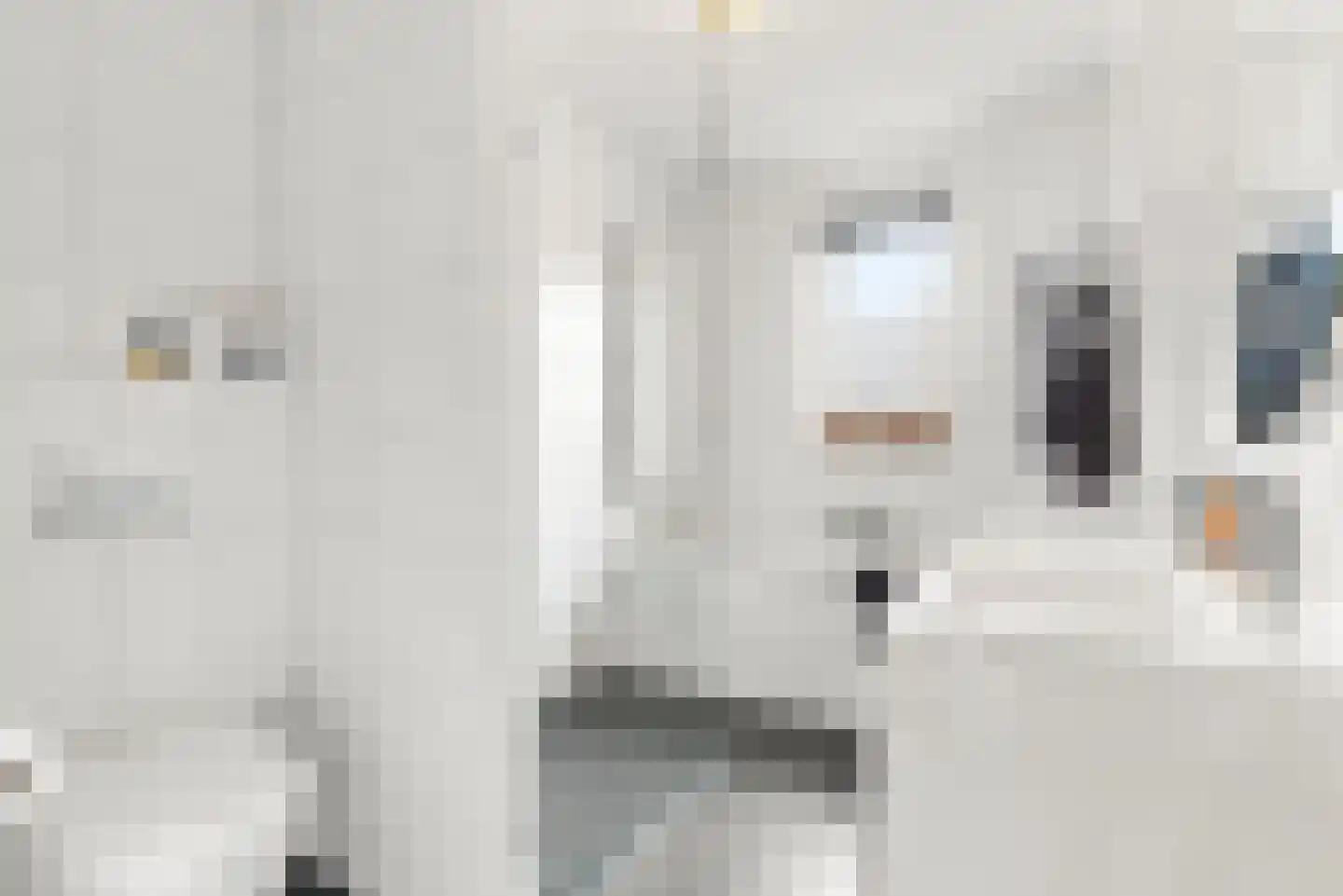 A. Roland Holststraat 5 Voorschoten thumbnail 22