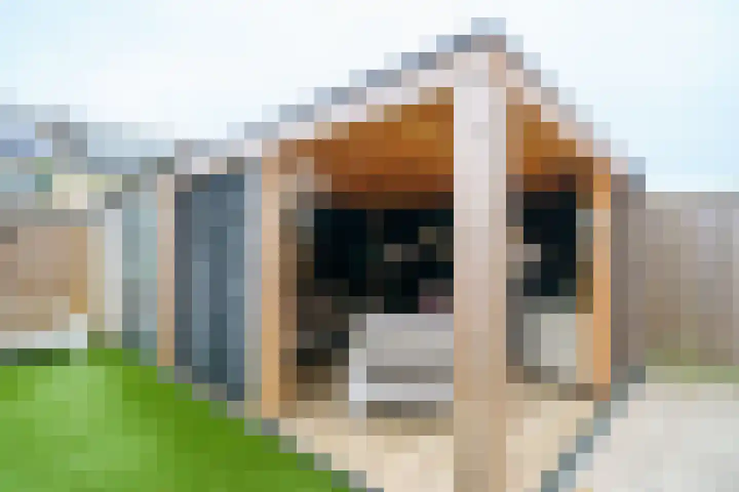 A. Roland Holststraat 85 Almere thumbnail 36