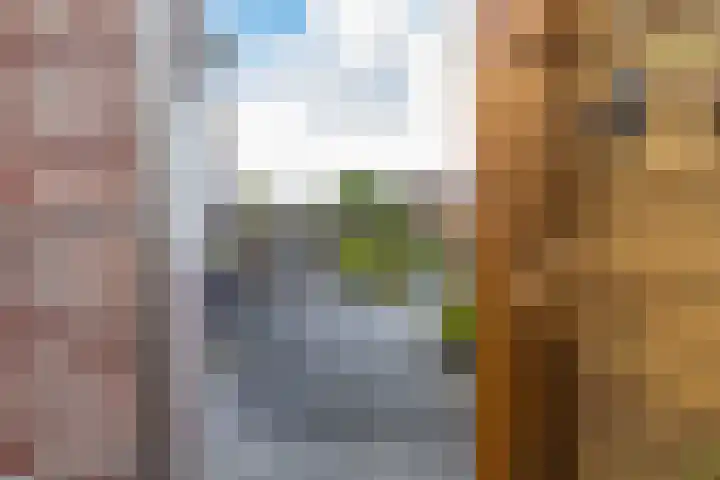 A.S. de Blécourtlaan 19 Winsum thumbnail 53
