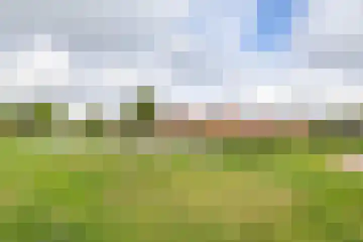 A.S. de Blécourtlaan 19 Winsum thumbnail 60