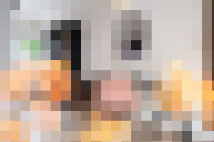 A S Talmaplein 18 Franeker thumbnail 13