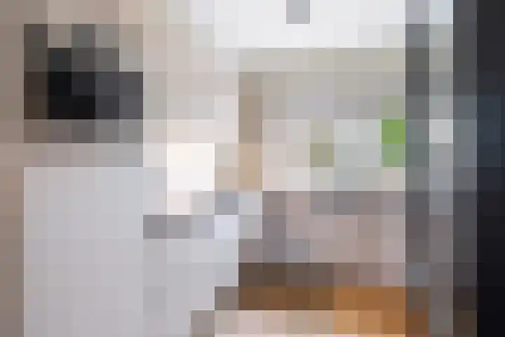 A S Talmaplein 18 Franeker thumbnail 14