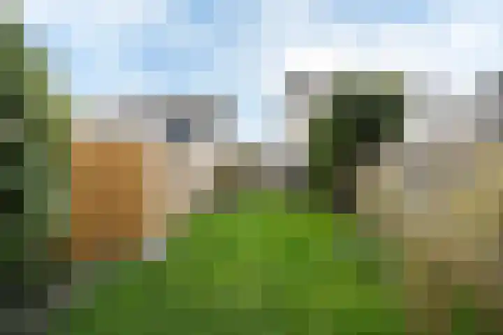 A S Talmaplein 18 Franeker thumbnail 35