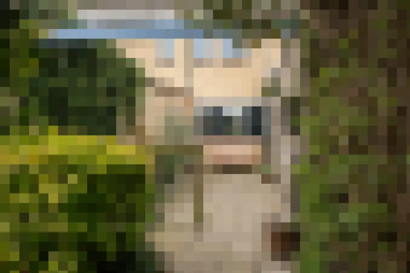 A S Talmaplein 18 Franeker thumbnail 43