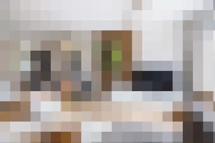 A S Talmaplein 18 Franeker thumbnail 8