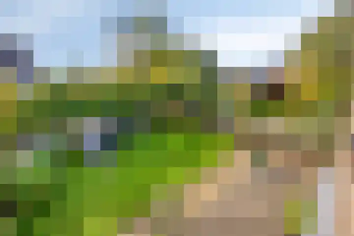 A S Talmaplein 29 Franeker thumbnail 33