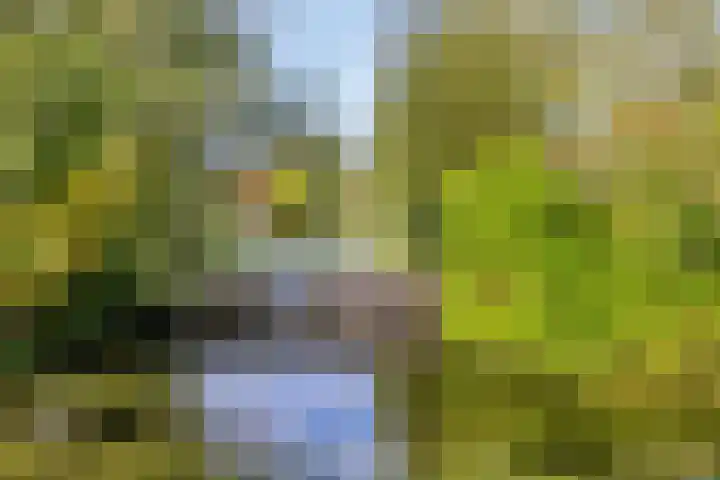 A S Talmaplein 29 Franeker thumbnail 8