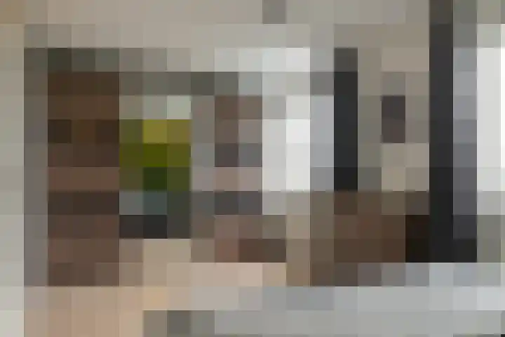 A S Talmaplein 41 Franeker thumbnail 23