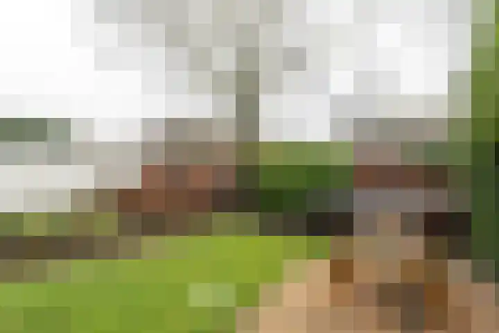 A S Talmaplein 41 Franeker thumbnail 34