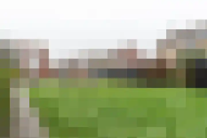 A S Talmaplein 41 Franeker thumbnail 38