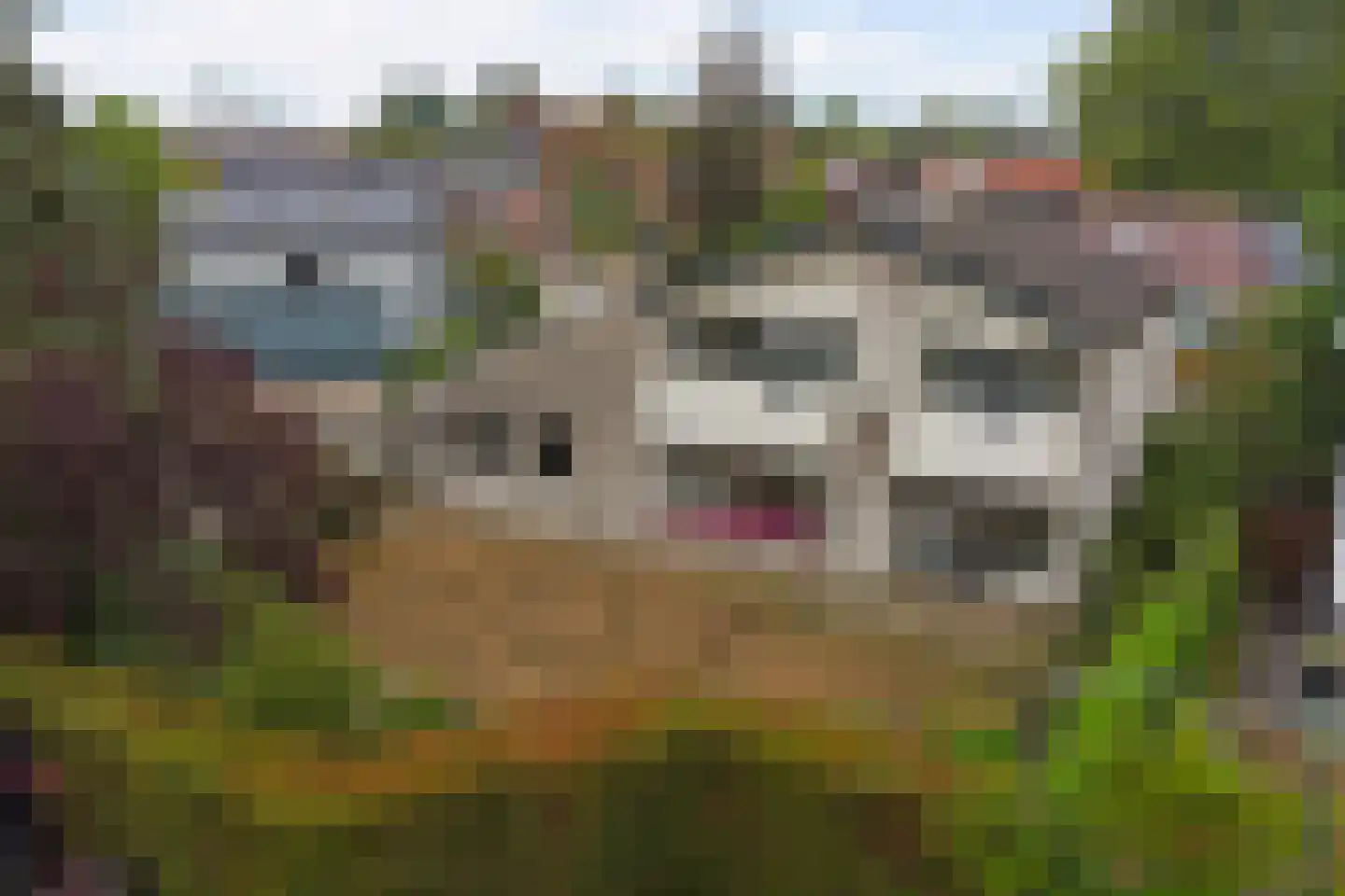 A.S. Talmastraat 8 Winterswijk thumbnail 4
