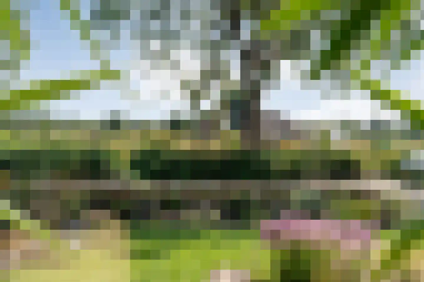 A T L Hasselbachweg 27 Haarle thumbnail 8