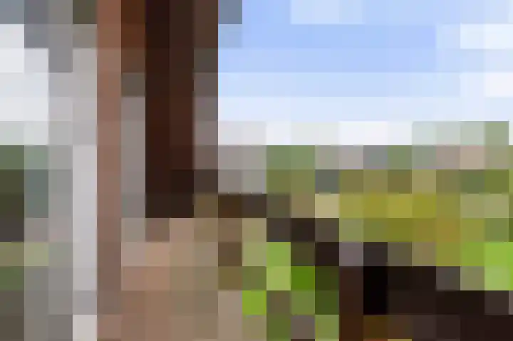 A. ten Hovestraat 6 Markelo thumbnail 20