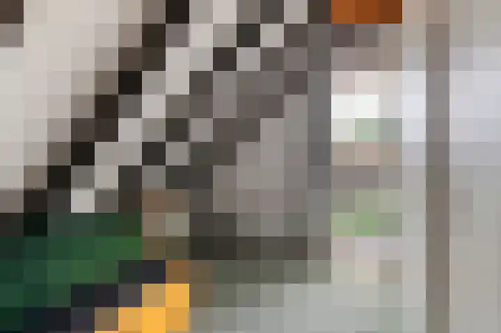 A. ten Hovestraat 6 Markelo thumbnail 27