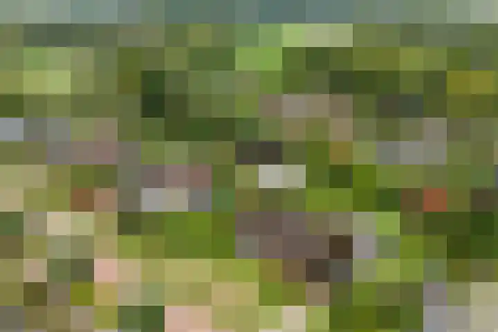 A. ten Hovestraat 6 Markelo thumbnail 33
