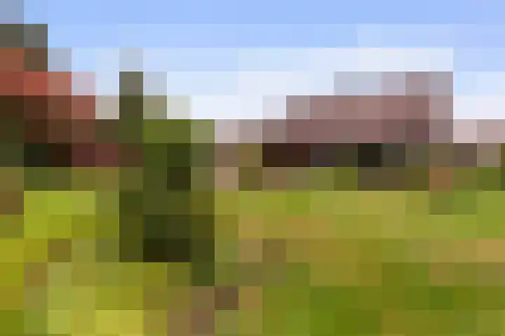A. ten Hovestraat 6 Markelo thumbnail 5
