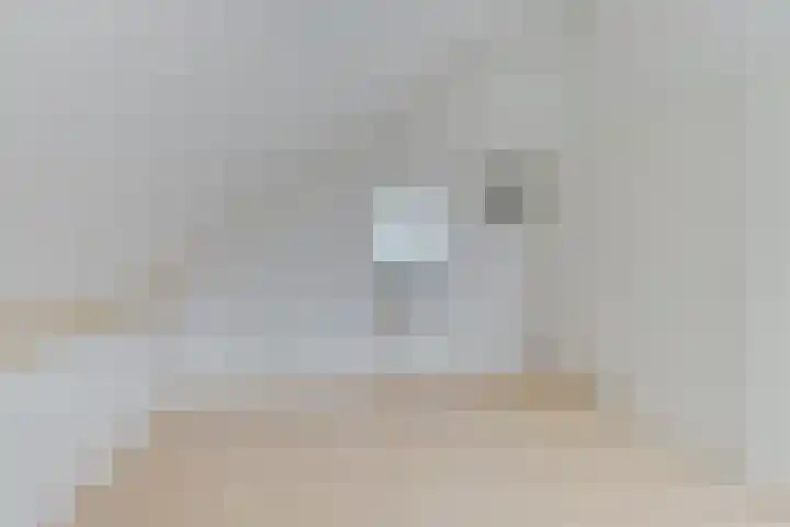 A.V.H. Destreelaan 105 Sint Pancras thumbnail 32