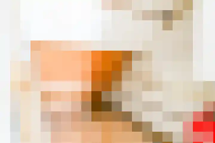 A.V.H. Destreelaan 105 Sint Pancras thumbnail 33