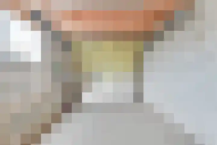 A.V.H. Destreelaan 105 Sint Pancras thumbnail 37