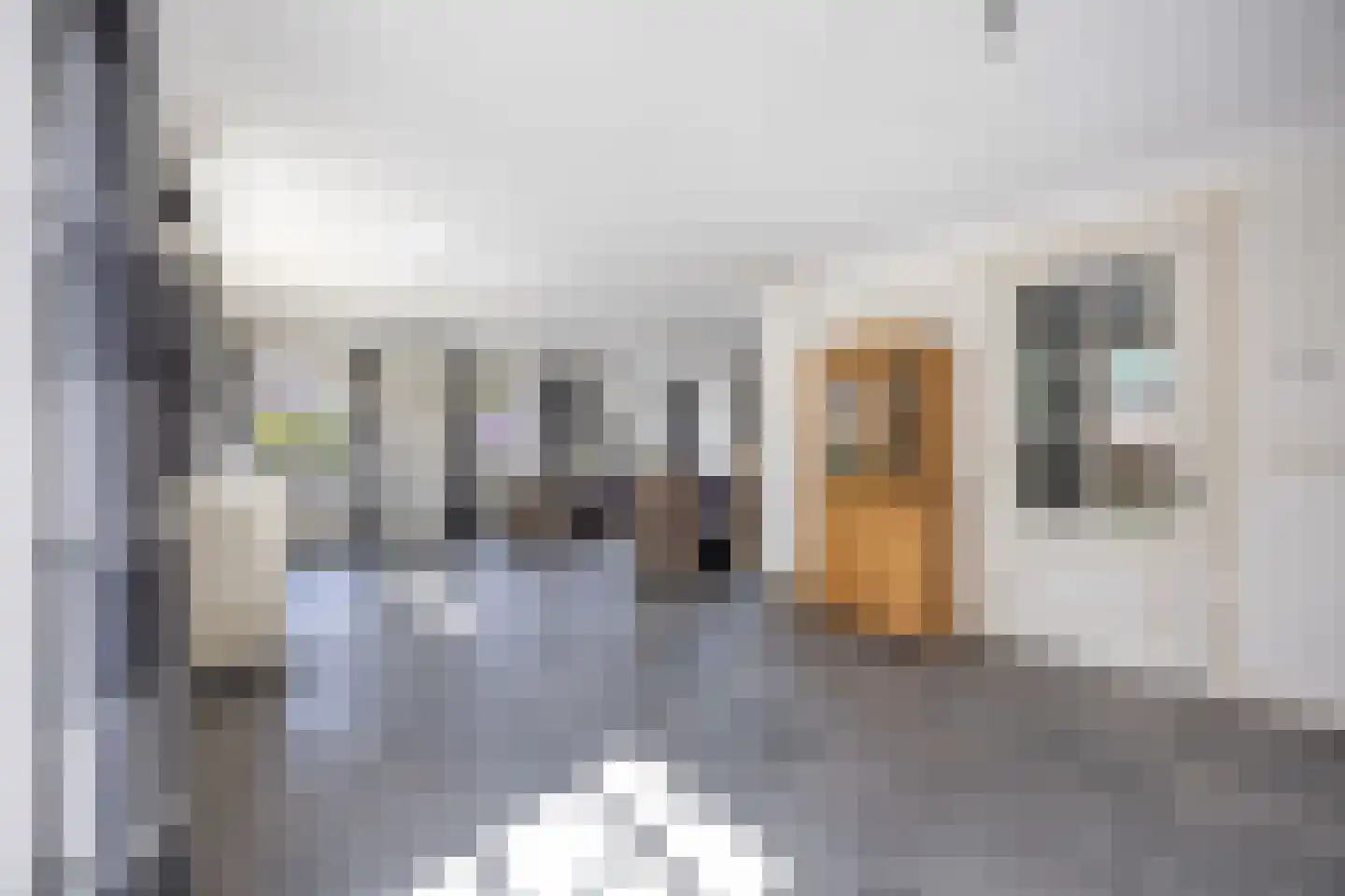 A.V.H. Destreelaan 119 Sint Pancras thumbnail 12