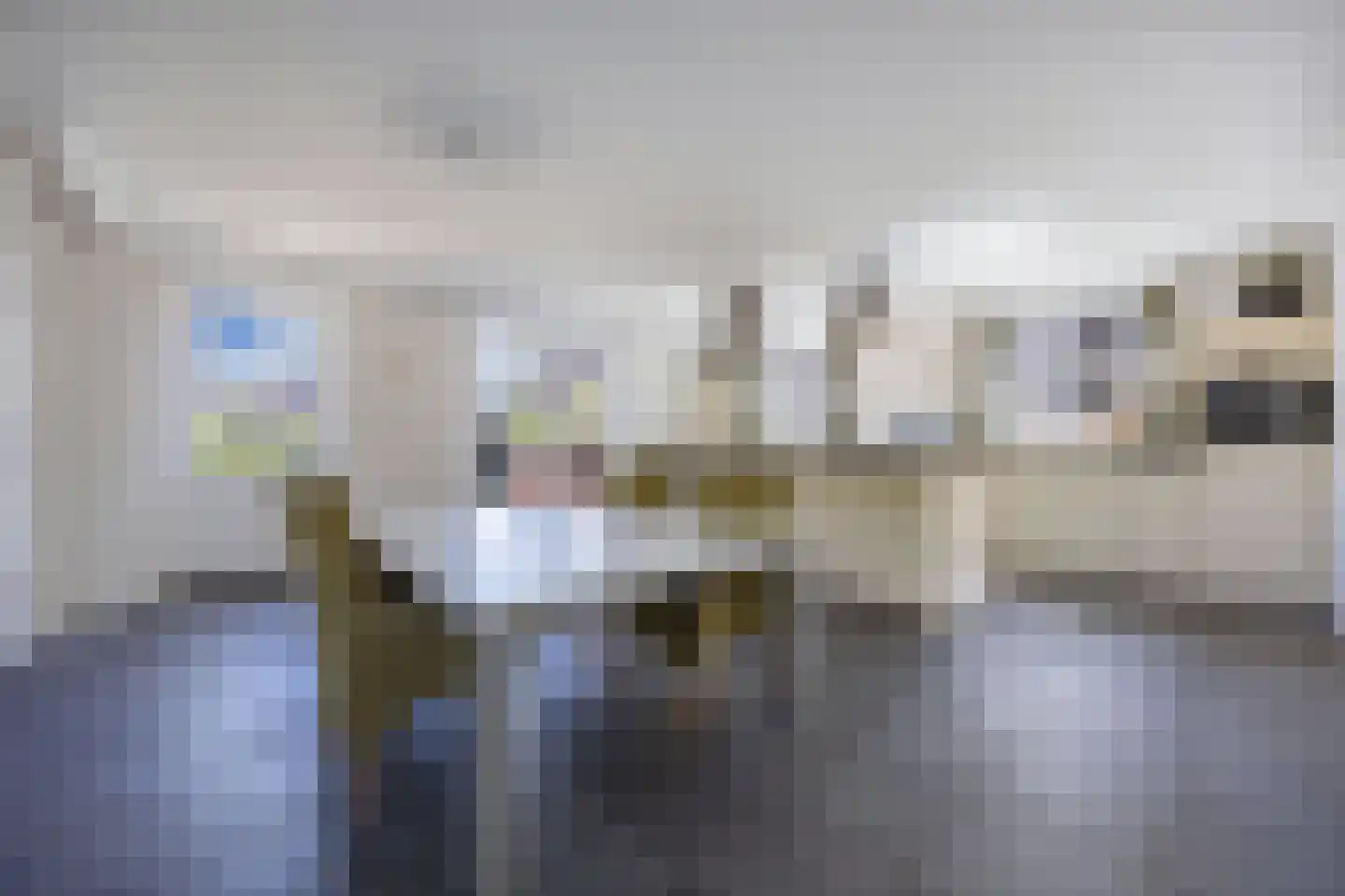 A.V.H. Destreelaan 119 Sint Pancras thumbnail 19
