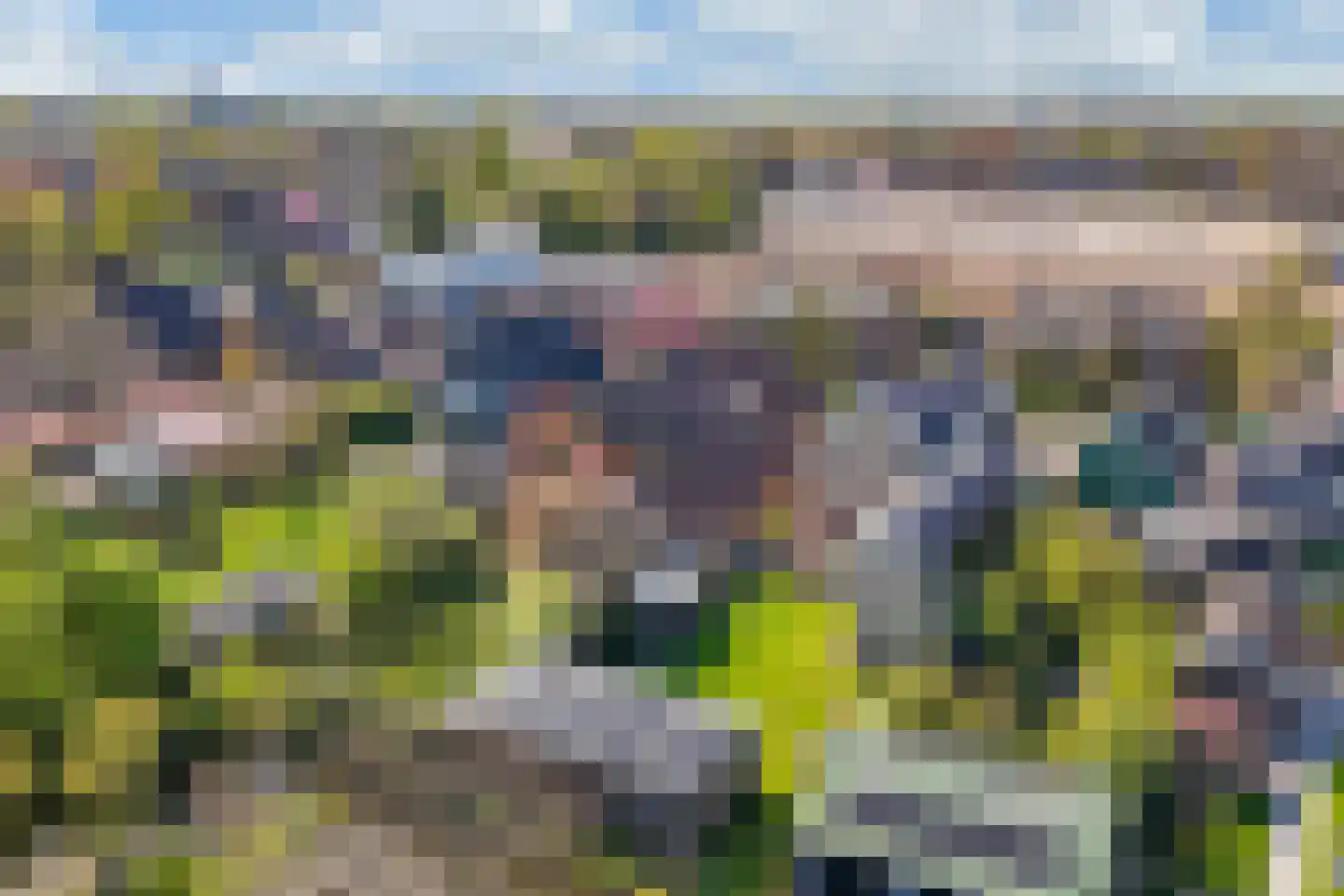 A.V.H. Destreelaan 119 Sint Pancras thumbnail 35
