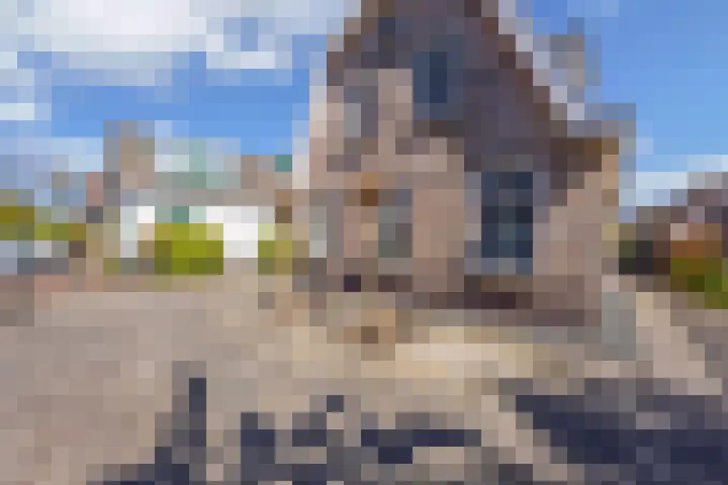 A.V.H. Destreelaan 119 Sint Pancras thumbnail 5